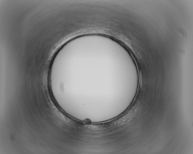 X0000112171500200908281328