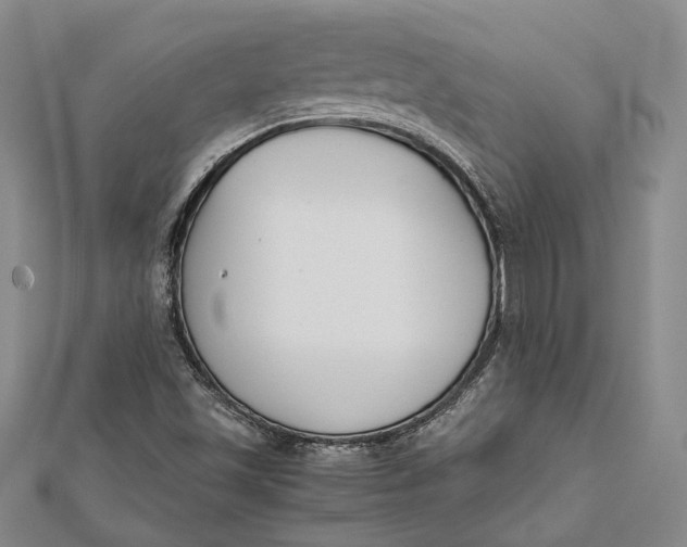 X0000112171501200908281328