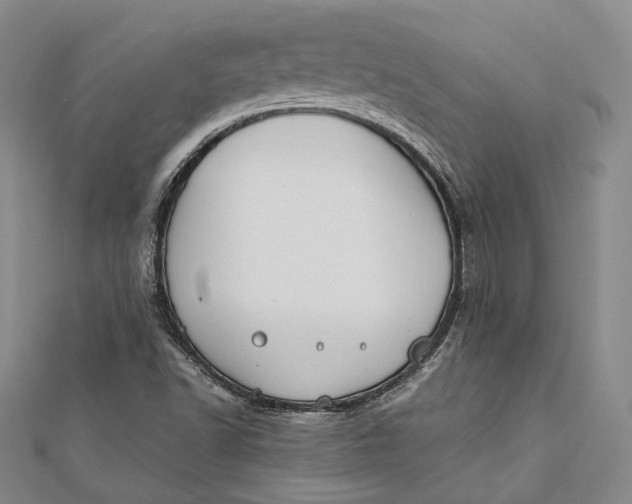 X0000112171502200908281328