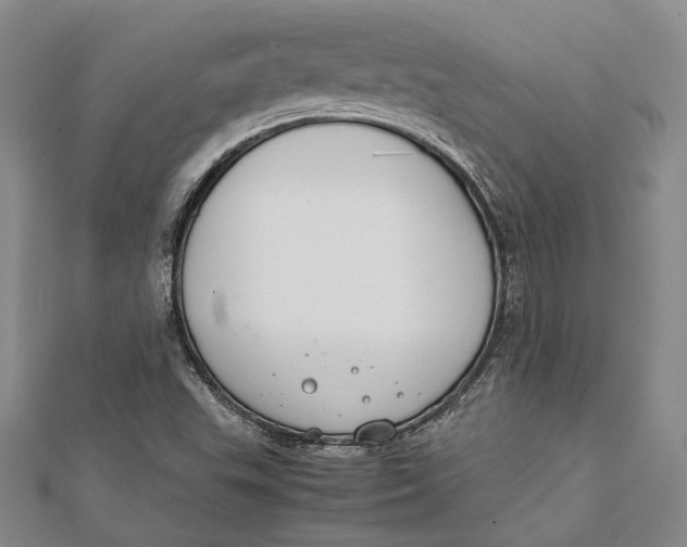 X0000112171503200908281328