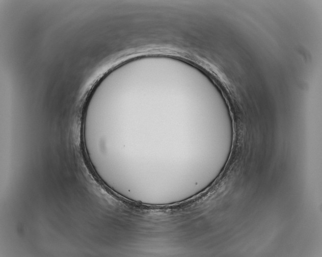 X0000112171504200908281328