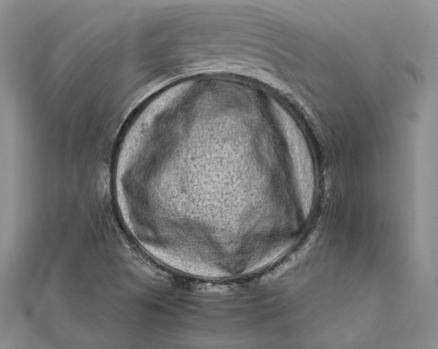 X0000112171505200908281328