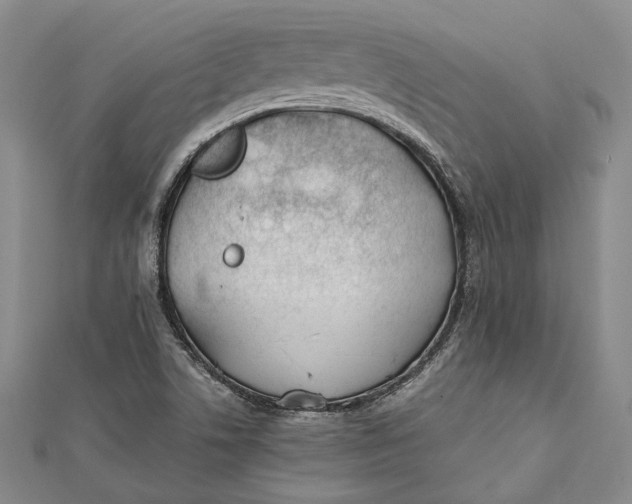 X0000112171506200908281328