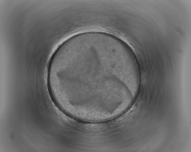 X0000112171508200908281328