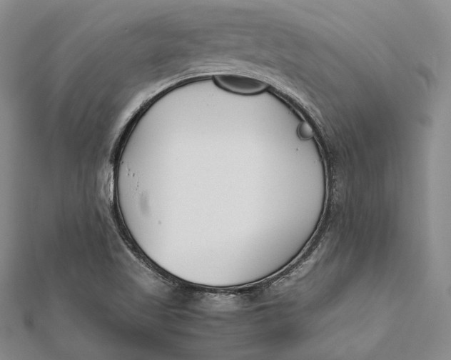 X0000112171509200908281328