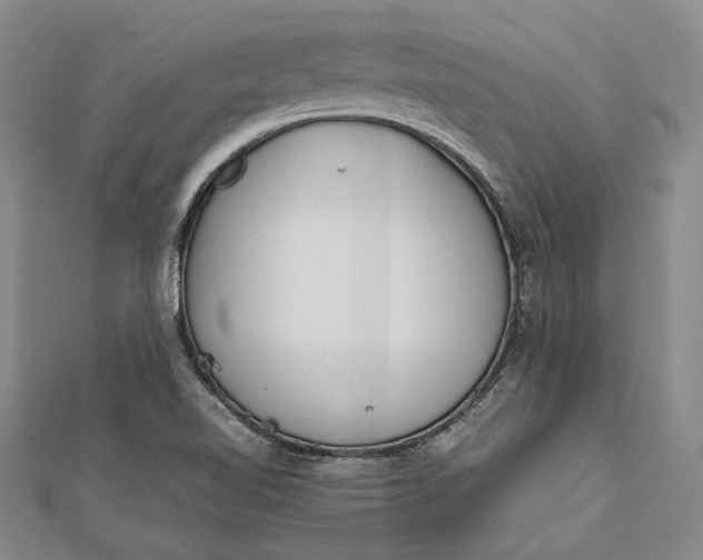 X0000112171510200908281328