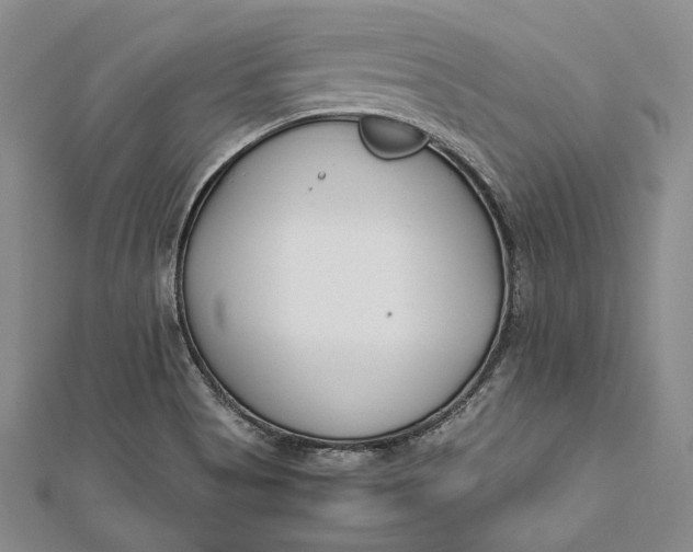 X0000112171513200908281328