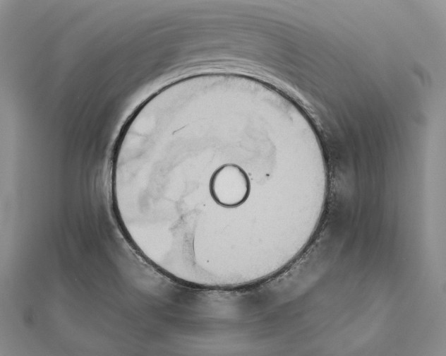 X0000112171514200908281328