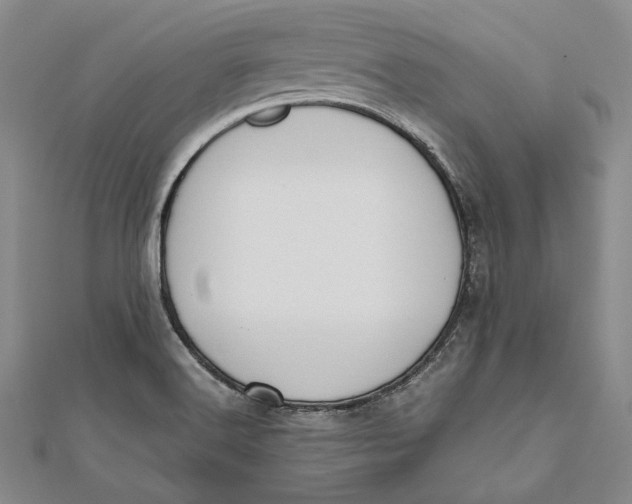 X0000112171516200908281328