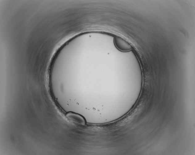 X0000112171517200908281328