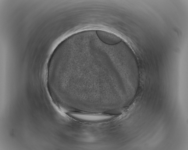 X0000112171519200908281328