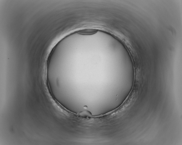 X0000112171520200908281328