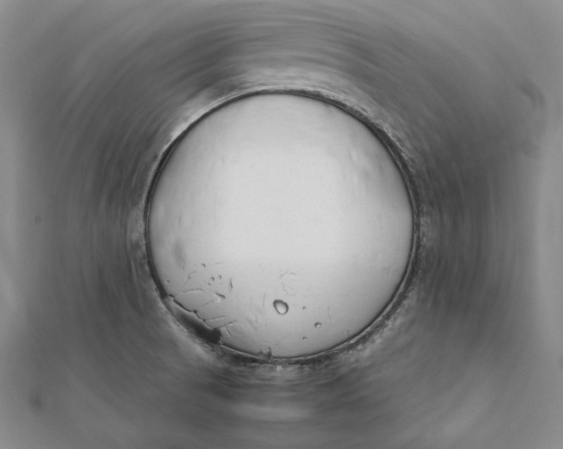 X0000112171521200908281328