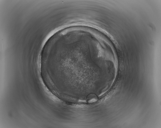 X0000112171522200908281329