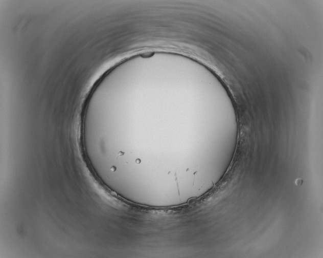 X0000112171523200908281329