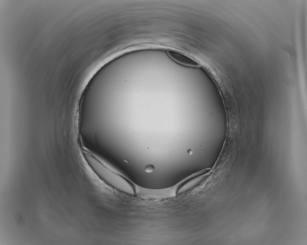 X0000112171524200908281329