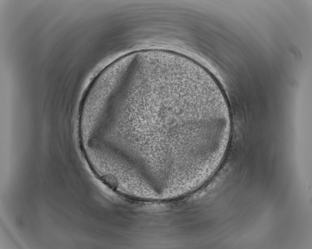 X0000112171525200908281329