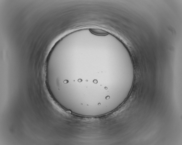 X0000112171526200908281329