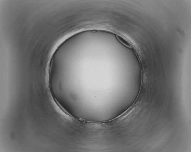 X0000112171528200908281329