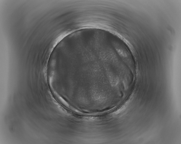 X0000112171529200908281329