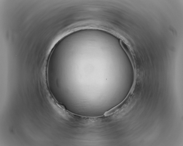 X0000112171530200908281329