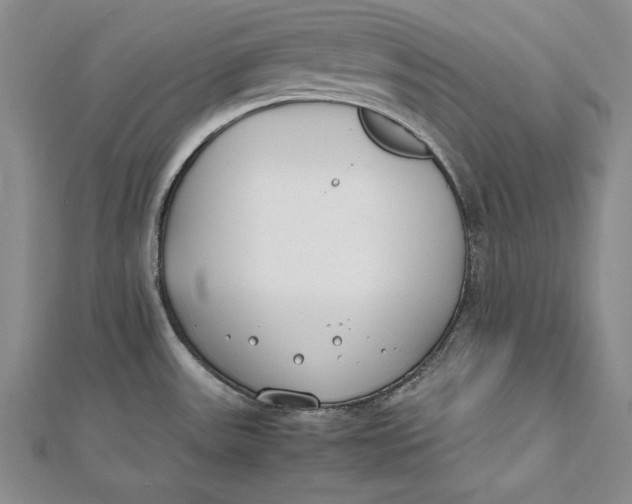 X0000112171531200908281329