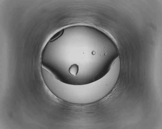 X0000112171532200908281329