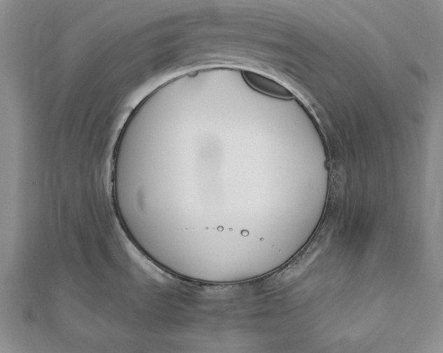 X0000112171535200908281329