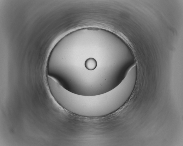 X0000112171536200908281329