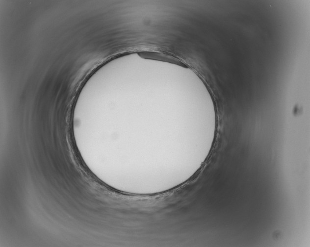 X0000112170001200909041202