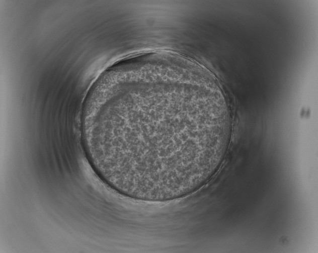 X0000112170002200909041202