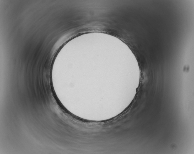 X0000112170004200909041202