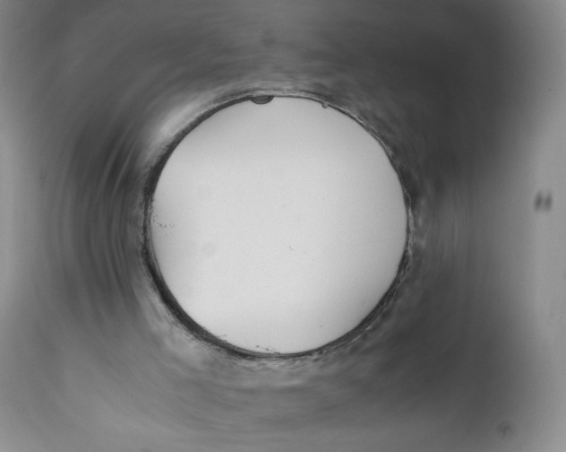 X0000112170005200909041202