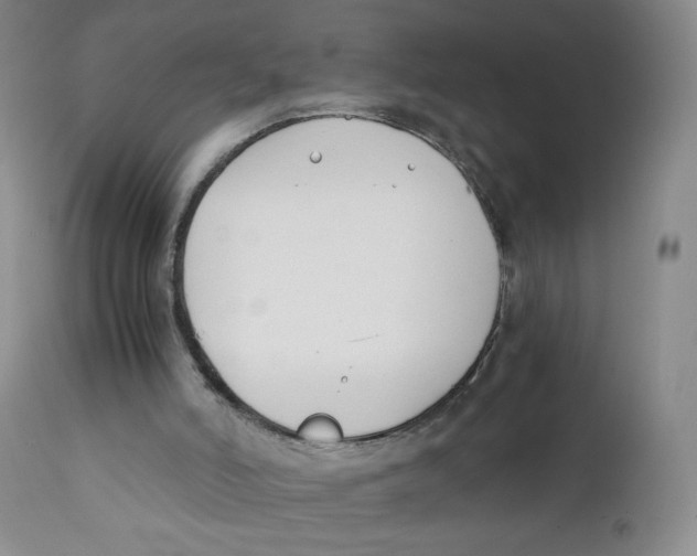 X0000112170006200909041202