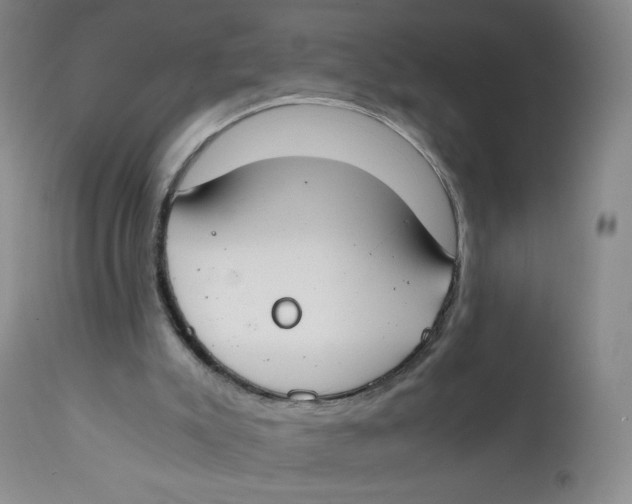 X0000112170007200909041202