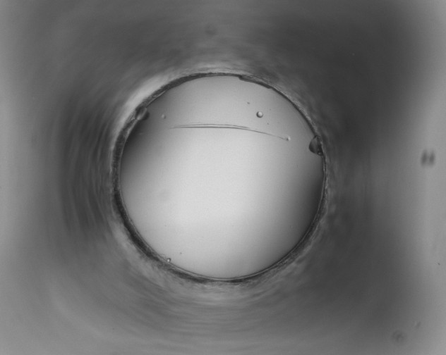 X0000112170008200909041202