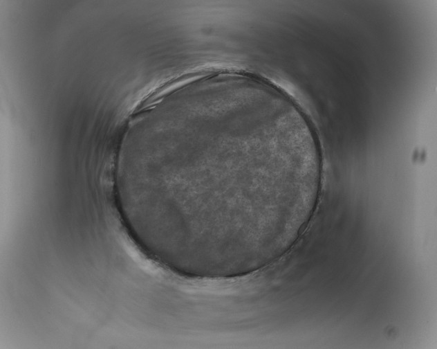 X0000112170009200909041202