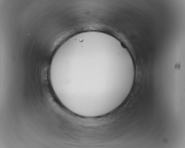 X0000112170010200909041202