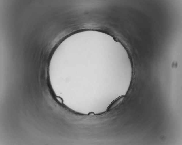 X0000112170011200909041202