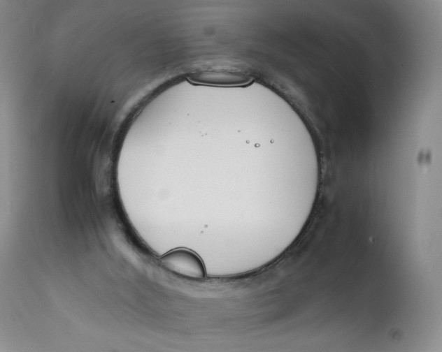 X0000112170012200909041202