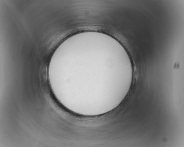 X0000112170013200909041202