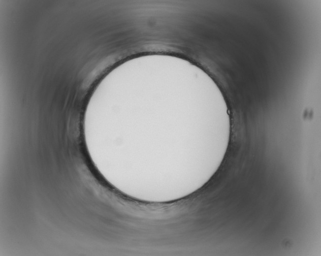 X0000112170015200909041202