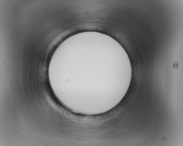 X0000112170016200909041202