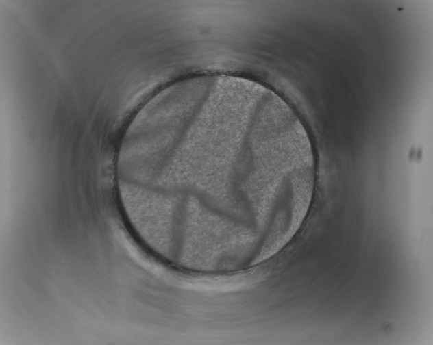 X0000112170017200909041202