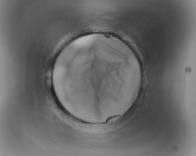 X0000112170019200909041202