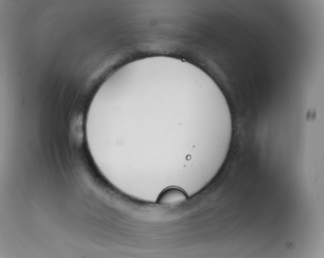 X0000112170020200909041202