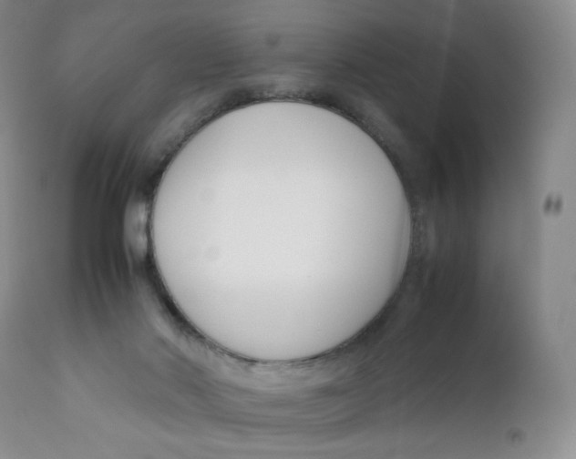 X0000112170022200909041202