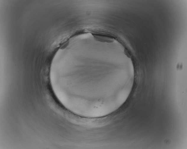 X0000112170023200909041202