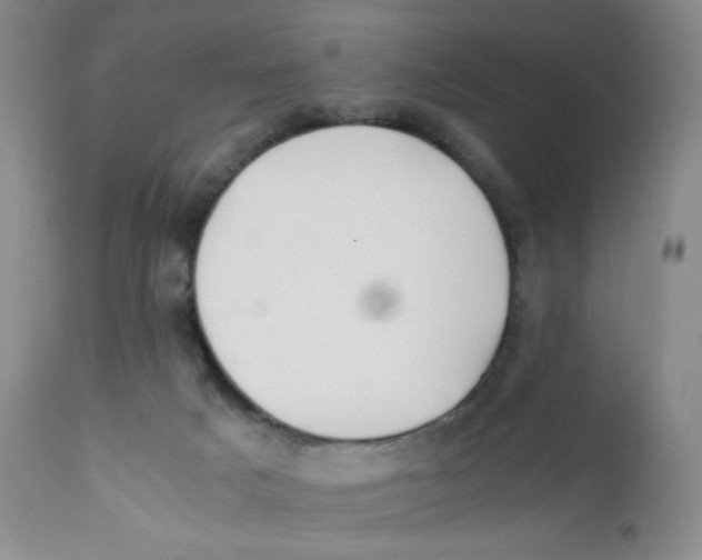 X0000112170025200909041202