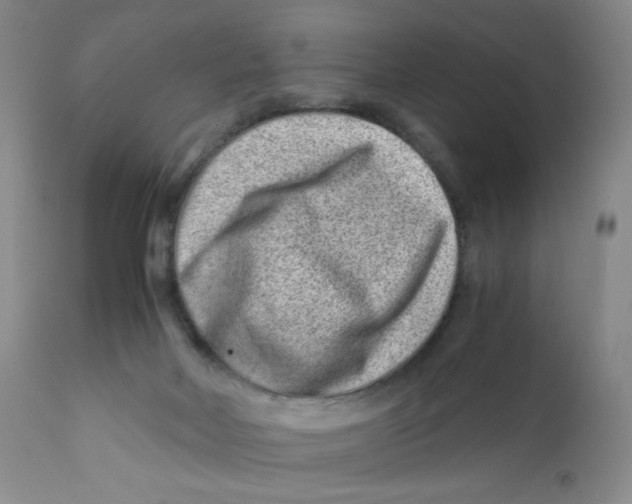 X0000112170026200909041202